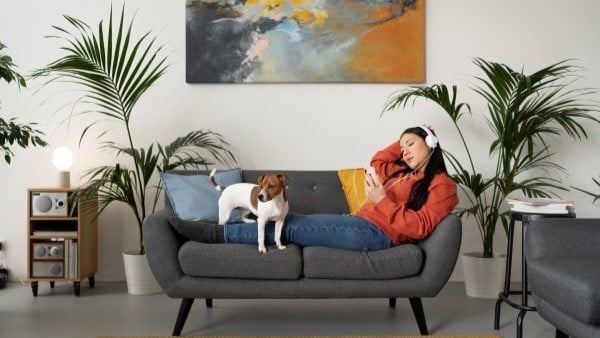 Home content